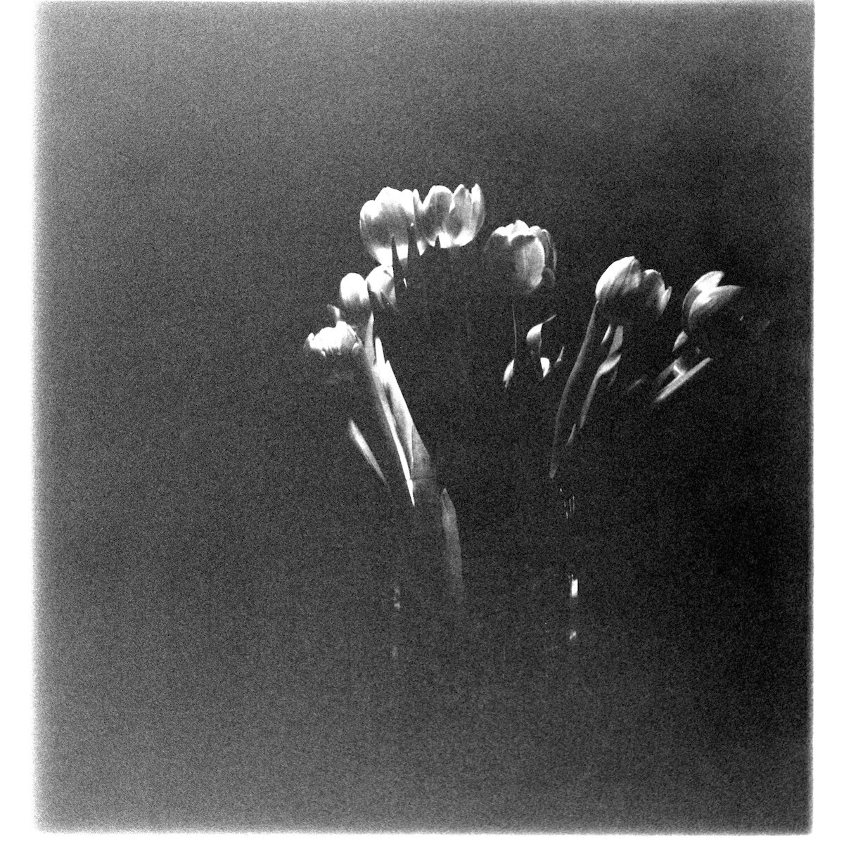 Ziad Antar, <i>Untitled</i>, 2025. Photograph printed on canvas, 78 3/4 x 78 3/4 in (200 x 200 cm)